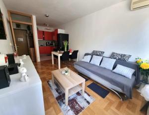 Apartments with a parking space Zagreb - 23369 