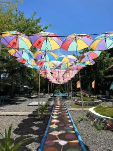 Hardrock Lux Spring Resort