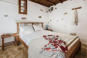 Naxos Alyko Traditional Vacation House ''Mitatos''