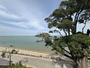 Appartements Appartement renove face mer et foret, 4 couchages, Saint-Trojan-les-Bains - FR-1-246A-315 : Appartement