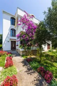 Apartments Ivanka - 佩特坎内