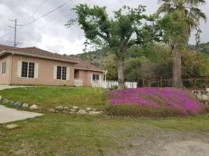 Scenic Renovated House, near Sequoia NP - Three Rivers