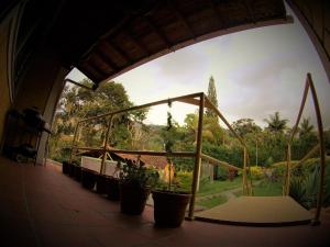 Rasta Room In The Magic Woodland - Envigado Medellin