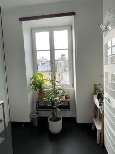 Appartements Au coeur de Versailles : photos des chambres