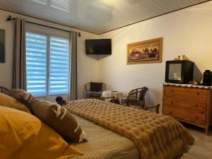 B&B / Chambres d'hotes Oasis Des Corbieres : photos des chambres