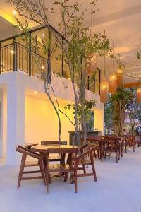 Discover, Explore y Enjoy TULUM