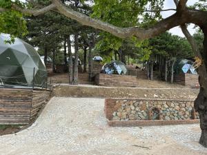Mas Kazdağı Glamping