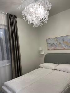 Apartamentai su baseinu