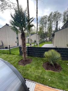 Apartamentai su baseinu