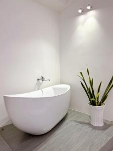 December homestay studio 2