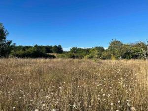 Maisons de vacances Peaceful gite with stunning pool near market town : photos des chambres