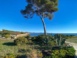 Appartement vue mer, au calme, proche de toutes commodités