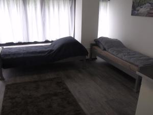 Zöld Nap Apartman