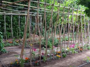 Tentes de luxe La roulotte du petit paradis : photos des chambres