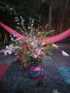 Tentes de luxe La roulotte du petit paradis : photos des chambres