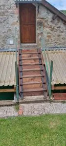 bibi - 代卡泽维尔