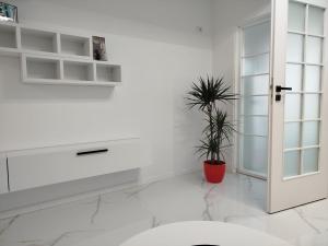 Studio Tudor Eforie Nord