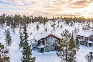 Levillas Kinnastie 33 Villas - Levi