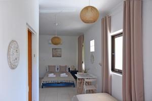 Umka Studio Ipsos