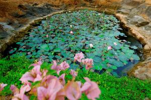 The Hidden Pearl Palakkad by Chakolas Hospitality