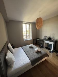 Appartements Chez Flo - Appartement Luxueux - Hypercentre : photos des chambres