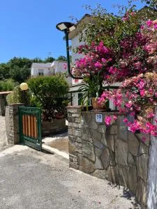 Il Sole di Pioppi - Pioppi