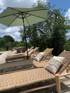 Maisons de vacances A casa nostra : photos des chambres