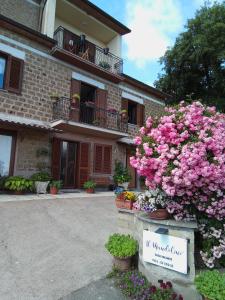 Casa vacanze il Mandolino tra Orvieto e Bolsena
