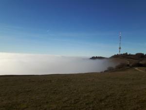 Ferienwohnung Birnbaum
