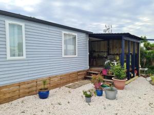 Maisons de vacances Bungalow charmant a Sigean avec piscine et jardin cloture : photos des chambres