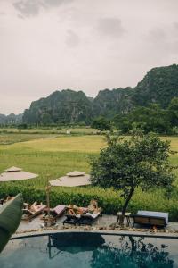 Tam Coc Windy Fields