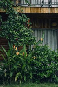 Tam Coc Windy Fields