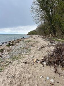 Rinkenæshus Hytte A