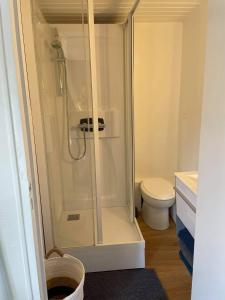 Appartements Charmant studio en hyper centre : photos des chambres