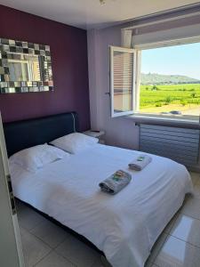 Appartements Chez Florence Ammerschwihr : photos des chambres