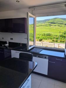 Appartements Chez Florence Ammerschwihr : photos des chambres