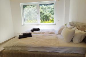 Apprimus Ferienwohnungen - Waldsee Rieden Panoramaterrasse 4 EG