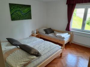 Apartments Field Flower