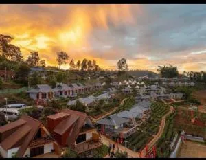 Chenfong Rakthai Resort-ไร่ชาเฉินฟงรีสอร์ท - Daw Ta-ma