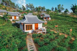 Chenfong Rakthai Resort-ไร่ชาเฉินฟงรีสอร์ท