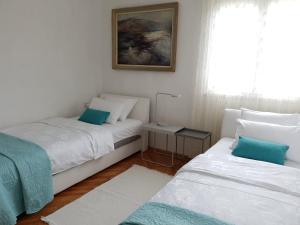 Sunny paradise, 50 m from beach 