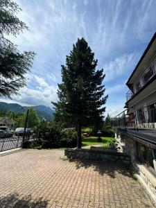 Kwatera Górska 903mnpm