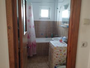 Garsonieră Dana Mangalia 45m2