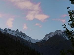 The Evergreen house kalga