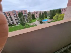 Ferienwohnung Altenau im Harz, Hunde - Osterode