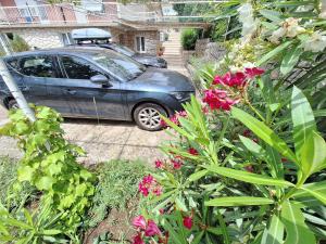 Apartment with terace 