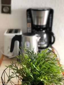 Lumineux Appartement 2 Alpes