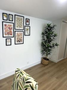 Appartements Cocon chaleureux au coeur de Mirepoix : Appartement 2 Chambres