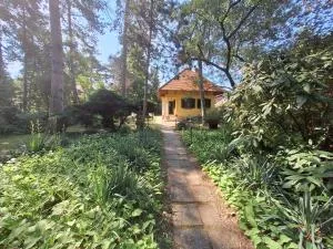 Vécsey Villa - Замарді