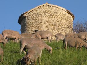 Maisons de vacances Gite du Cladan : photos des chambres